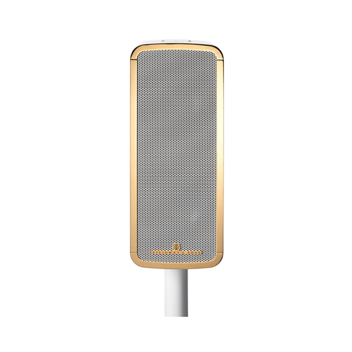 Steinway Lyngdorf Marine Speaker - Outdoor Loudspeaker - Vital Technologies LLC