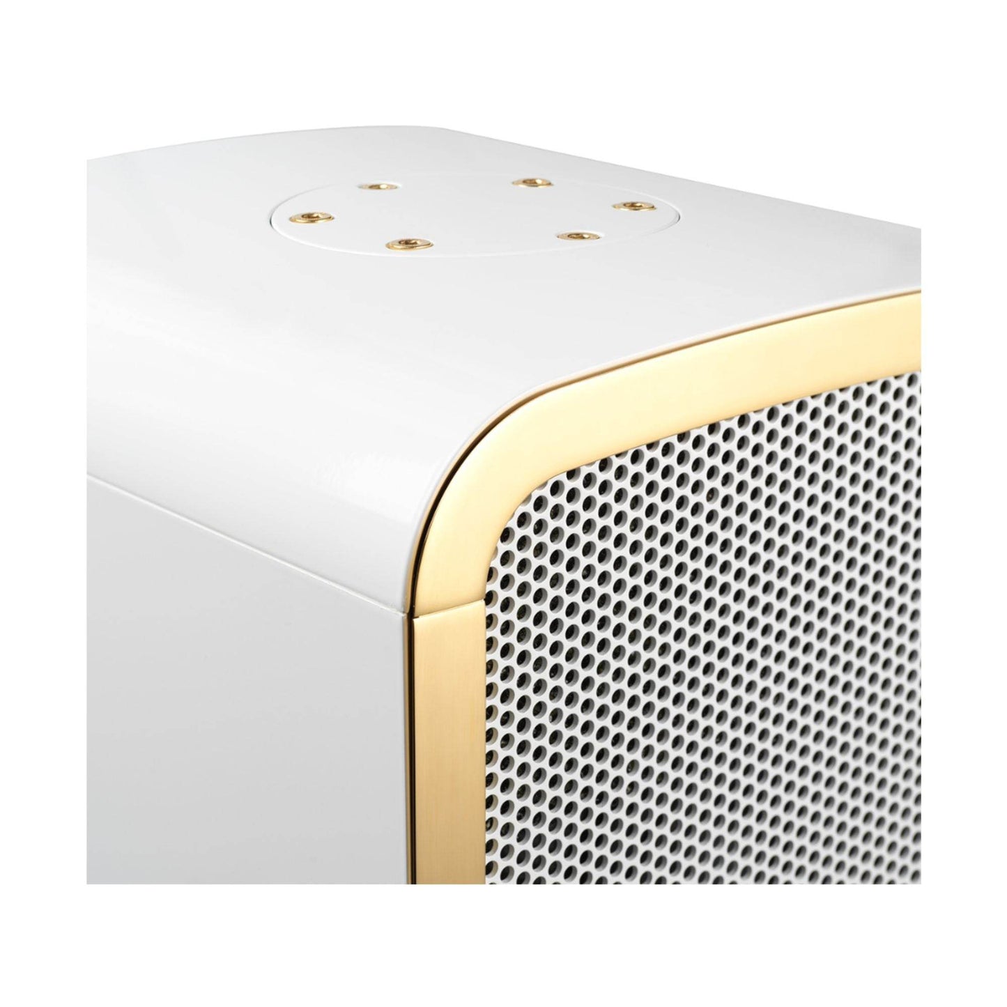 Steinway Lyngdorf Marine Speaker - Outdoor Loudspeaker - Vital Technologies LLC