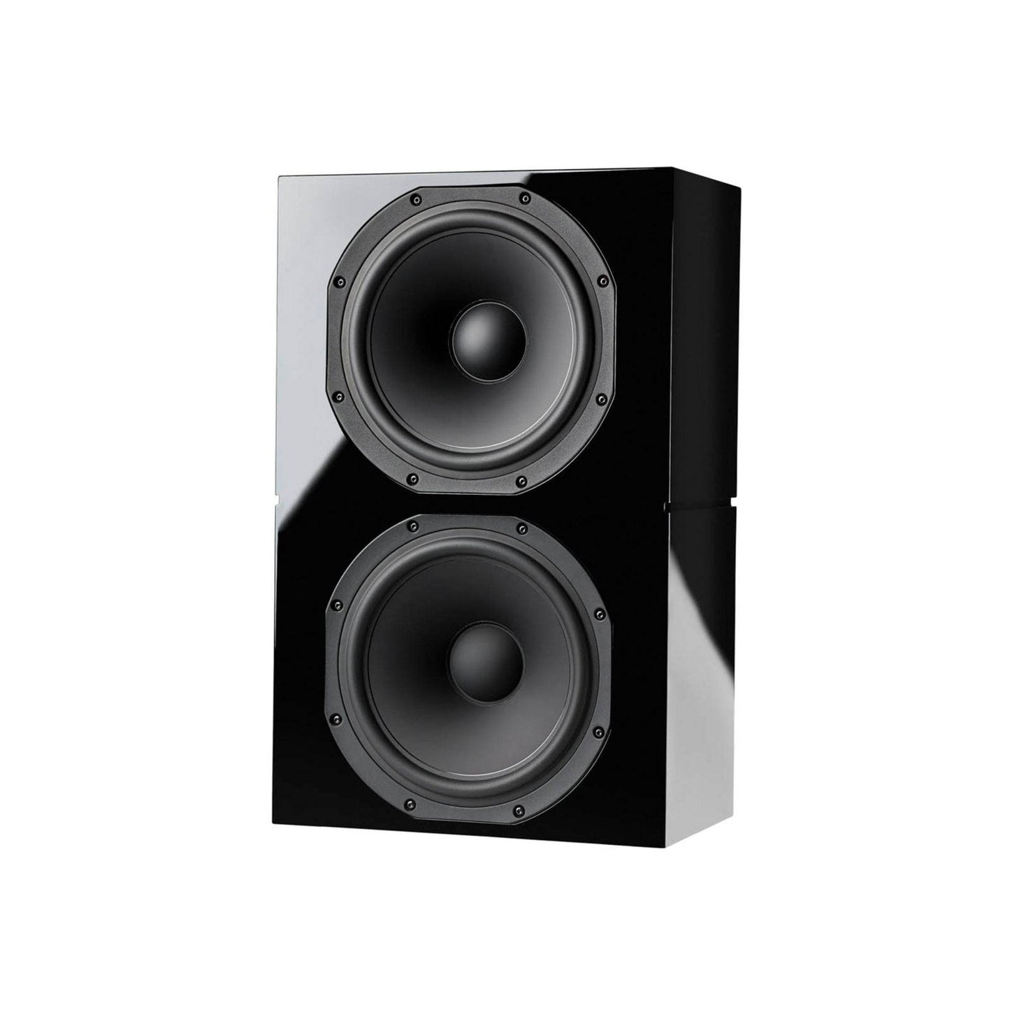 Steinway Lyngdorf LSR-212 - Dual 12″ Passive Subwoofer - Vital Technologies LLC