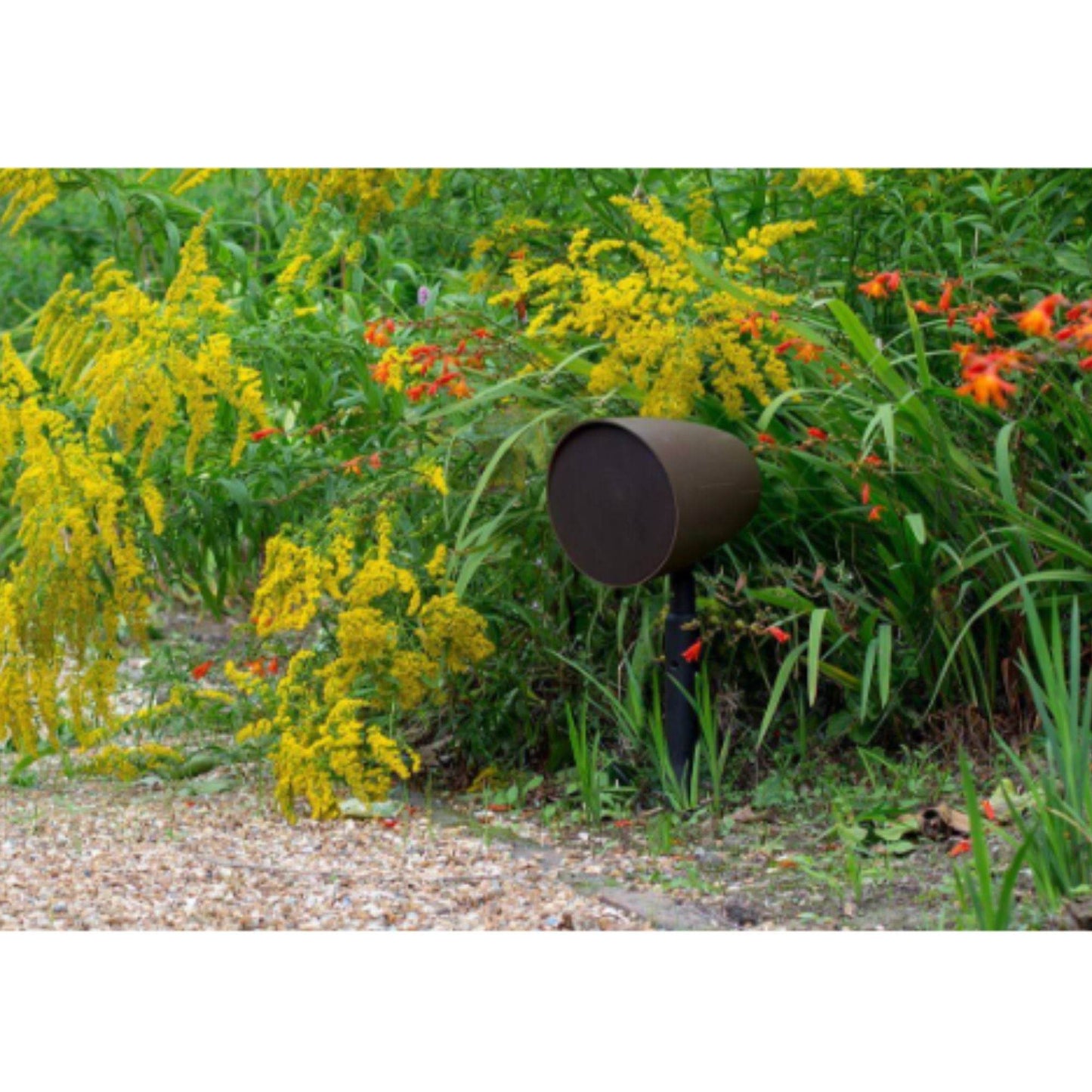 Monitor Audio CLG 160 - Outdoor Speaker - Piece - Vital Technologies LLC