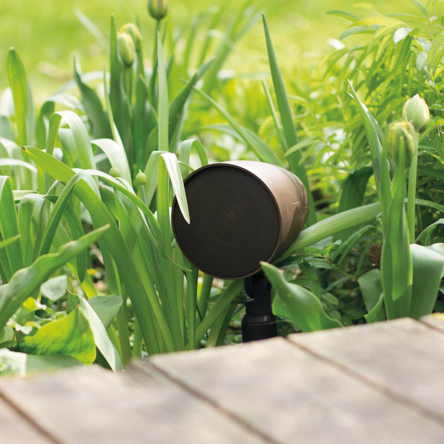 Monitor Audio CLG 140 - Outdoor Speaker - Piece - Vital Technologies LLC