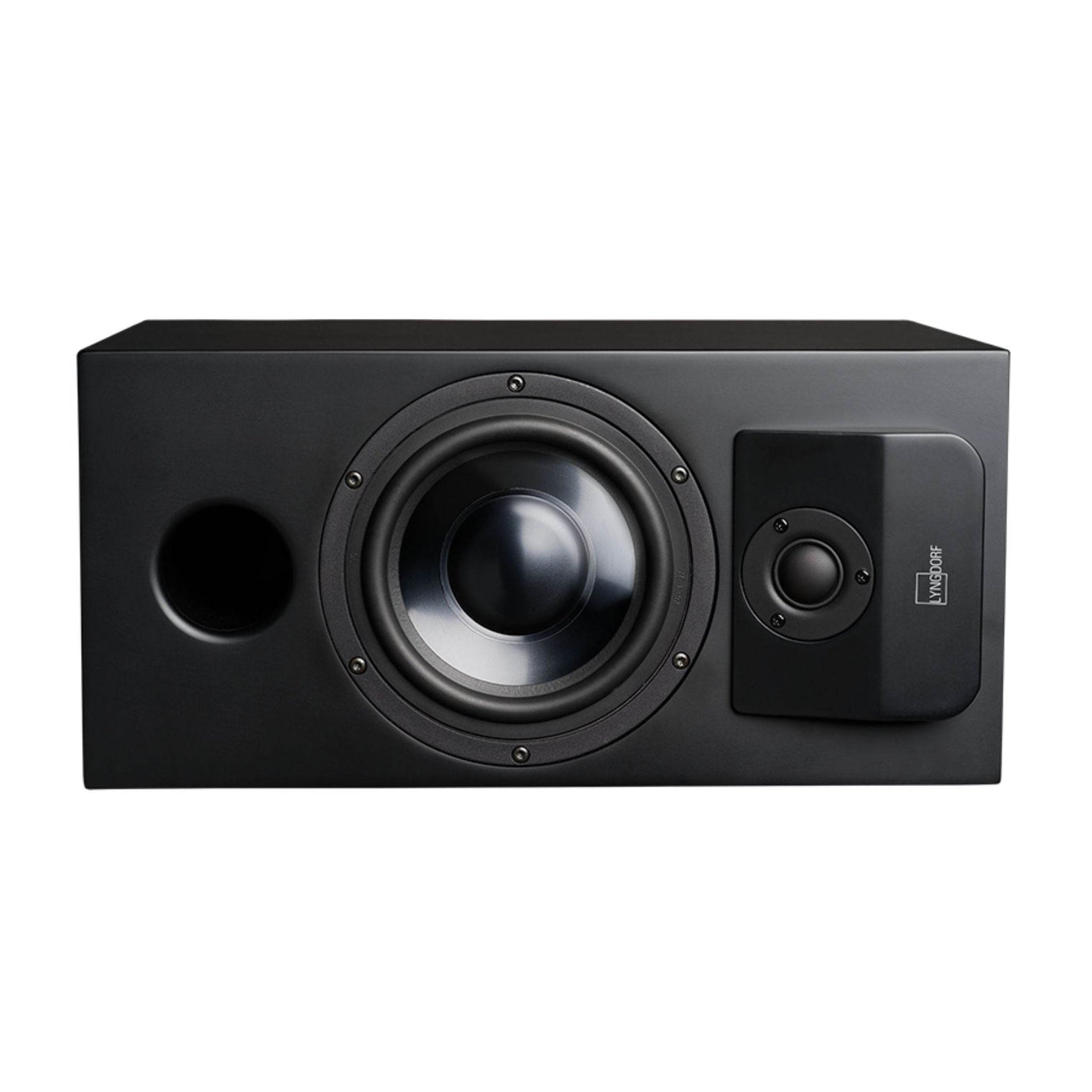 Lyngdorf Audio CS-1 - In-Cabinet Speaker - Vital Technologies LLC