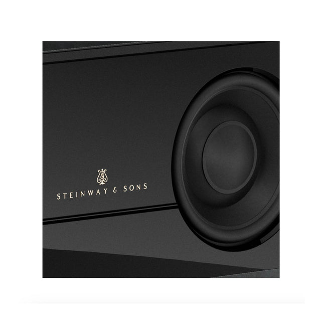 Steinway Lyngdorf Model S Soundbar - Vital Technologies LLC