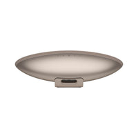 Bowers & Wilkins Zeppelin Pro Edition - Wireless Speaker - Vital Technologies LLC