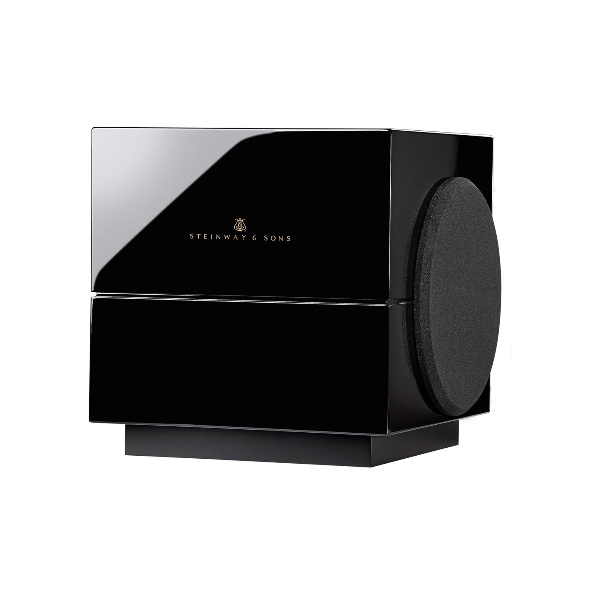 Steinway Lyngdorf Model S-210 - Passive Subwoofer – Vital Technologies LLC