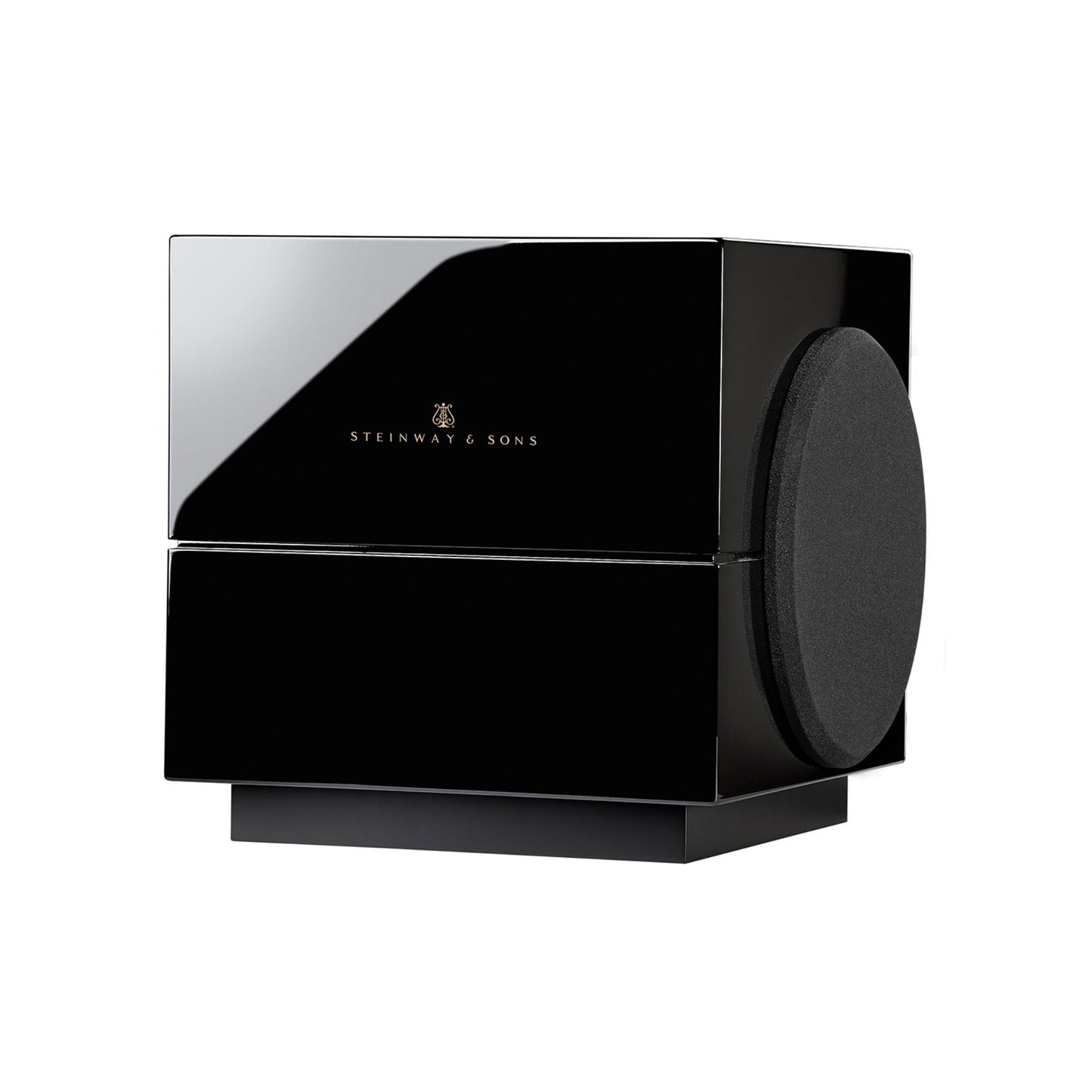 Steinway Lyngdorf Model S-210 - 10″ Subwoofer, Steinway Lyngdorf, Subwoofer - AVStore.in