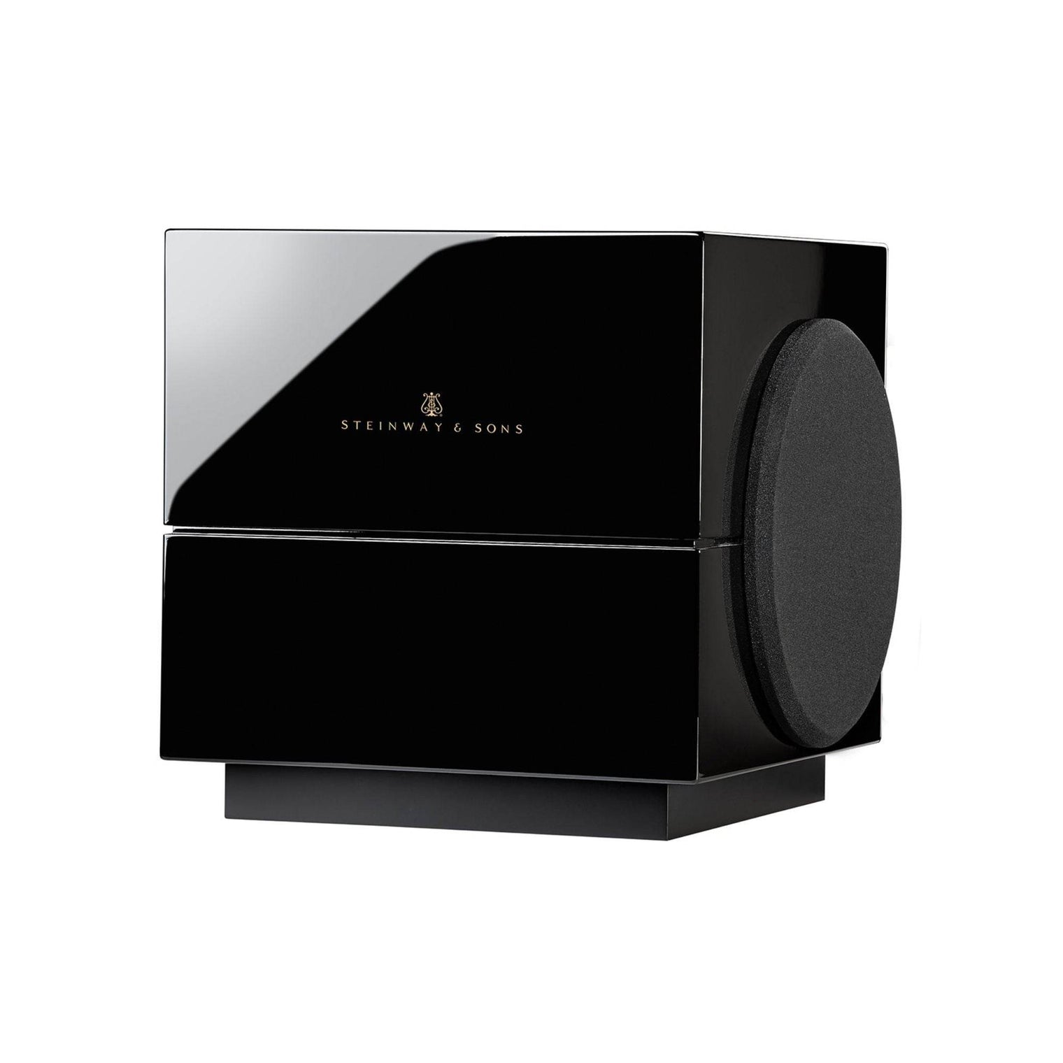 Steinway Lyngdorf Model S-210 - Passive Subwoofer - Vital Technologies LLC