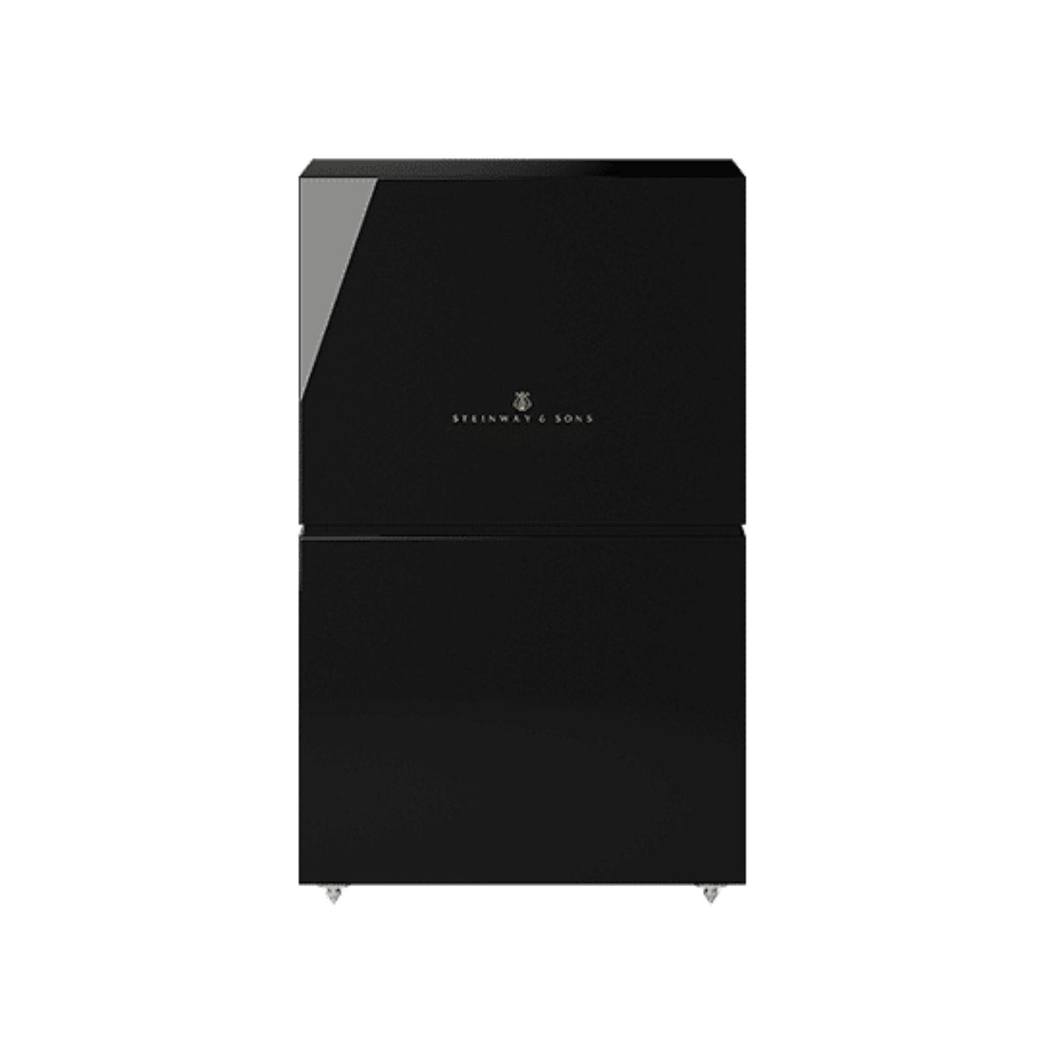 Steinway Lyngdorf LSR-210 - Passive Subwoofer - Vital Technologies LLC