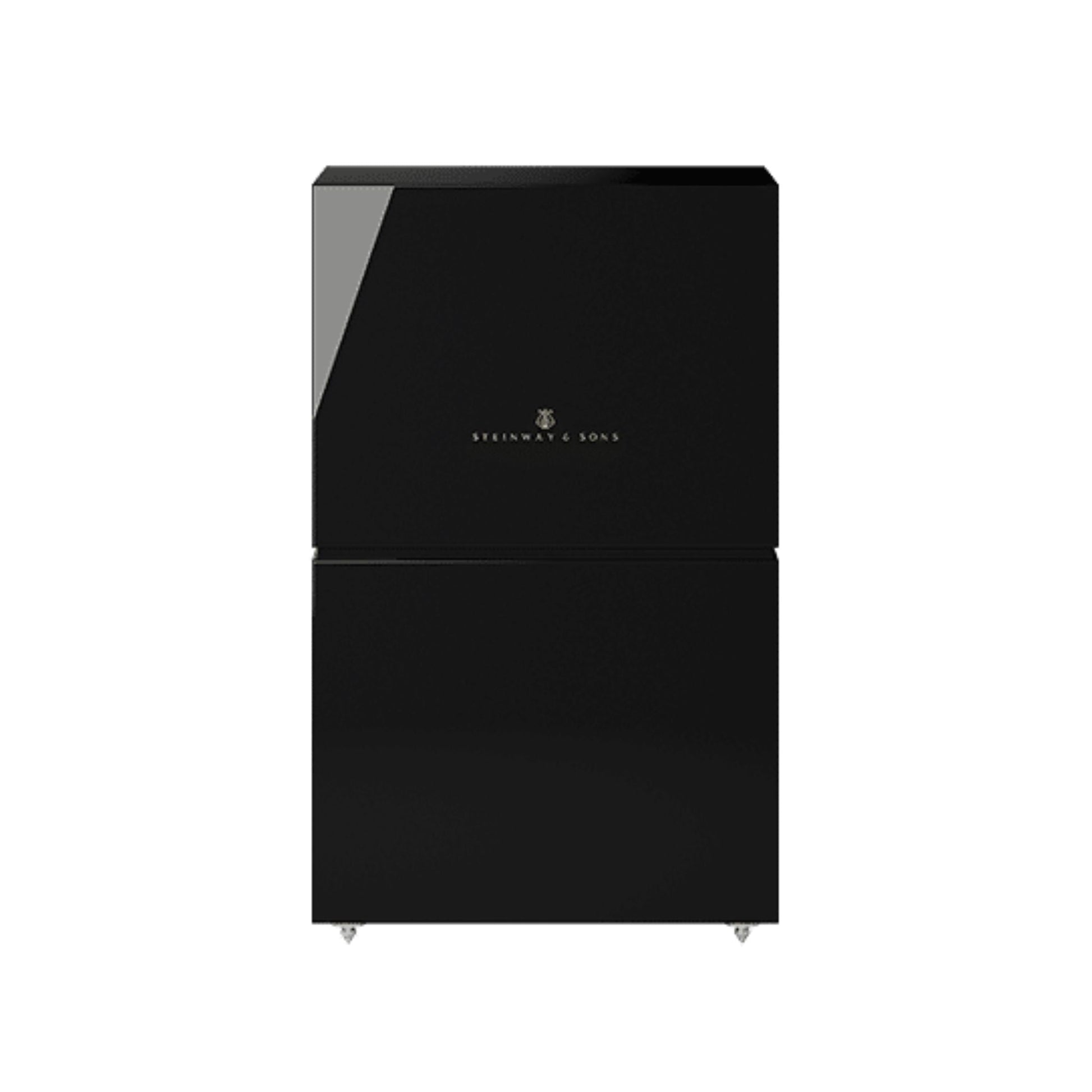 Steinway Lyngdorf LSR-210 - Subwoofer, Steinway Lyngdorf, Subwoofer - AVStore.in