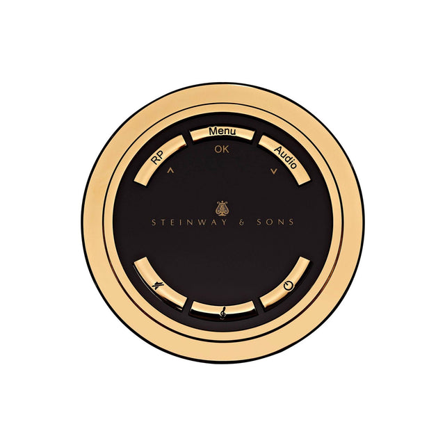 Steinway Lyngdorf Remote Control - Vital Technologies LLC