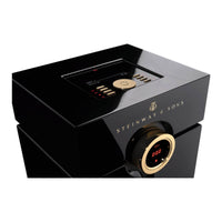 Steinway Lyngdorf Head Unit Processor - Vital Technologies LLC