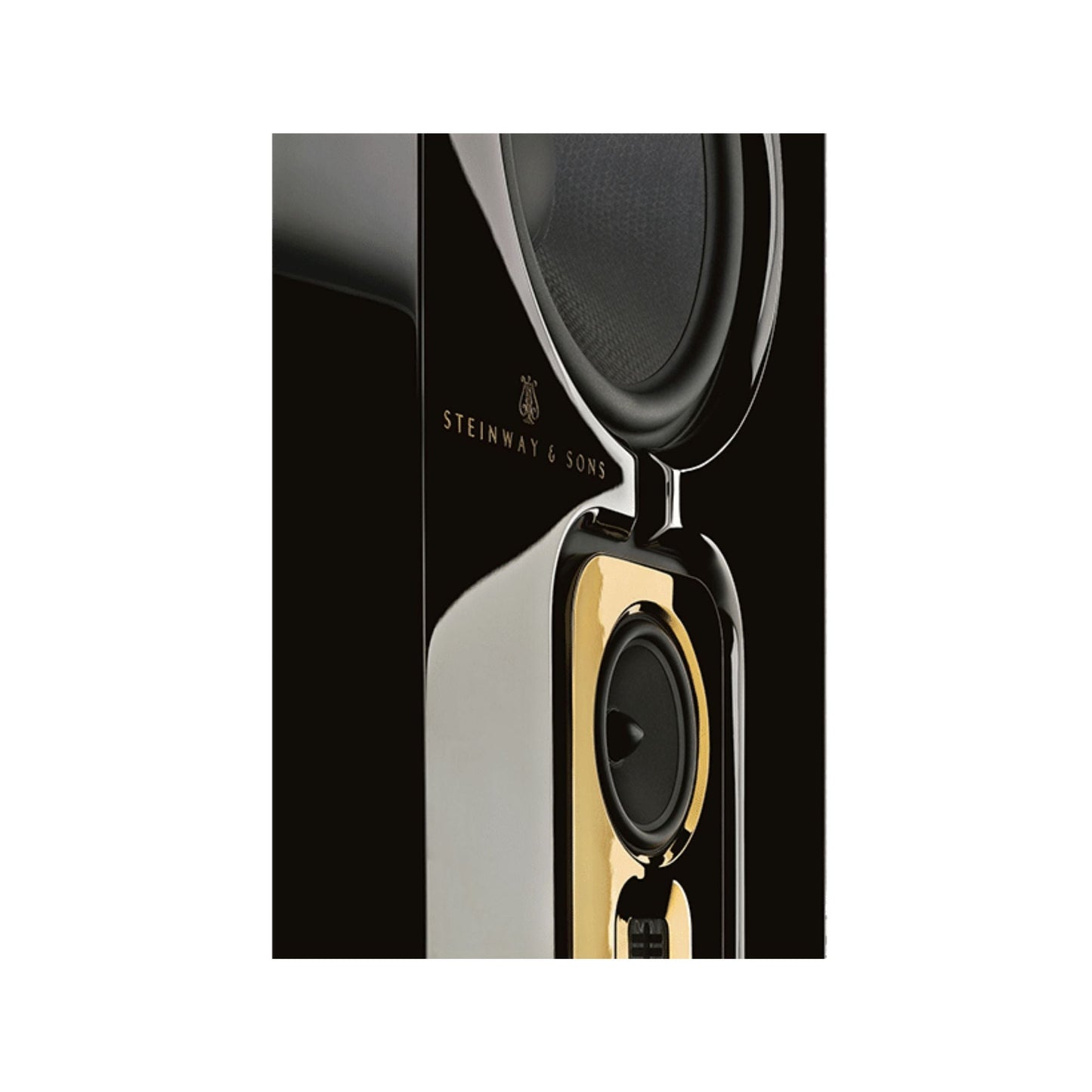 Steinway Lyngdorf Model D - Floor Standing Speaker, Steinway Lyngdorf, Floor Standing Speaker - AVStore.in