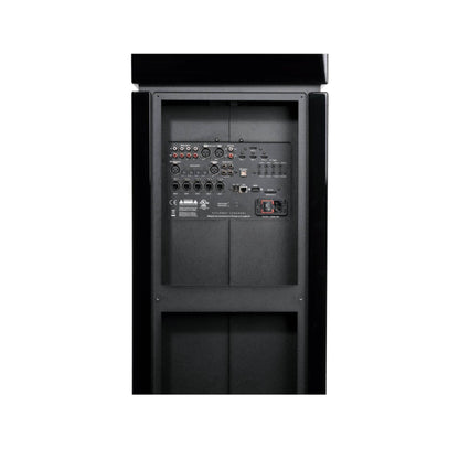 Steinway Lyngdorf Head Unit Processor - Vital Technologies LLC